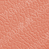 66168斑点纹粉红色运动地板